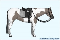 Horse Color:Grullo Tobiano