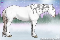 Horse Color:Brown Splash Varnish 