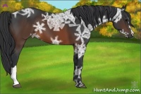 Horse Color:Brown Ice 