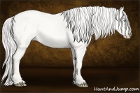 Horse Color:Cremello Dun 
