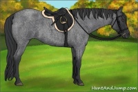 Horse Color:Blue Roan 