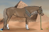 Horse Color:Chocolate Palomino 