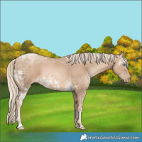 Horse Color:Chocolate Palomino Ice Pearl 