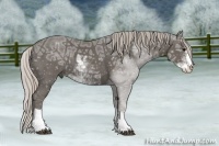 Horse Color:Silver Black Ice Sabino 