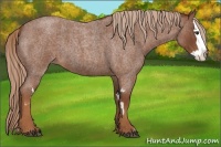 Horse Color:Red Roan Splash Frame Brindle