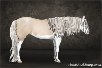 Horse Color:Palomino Pearl Splash 