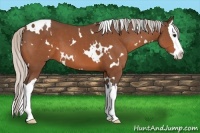 Horse Color:White Spotted Silver Bay Splash 