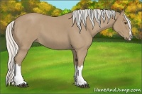 Horse Color:Silver Buckskin Roan Splash