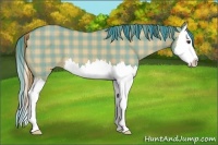 Horse Color:Plaid  Red Dun Splash 