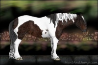 Horse Color:Bay Ice Tobiano