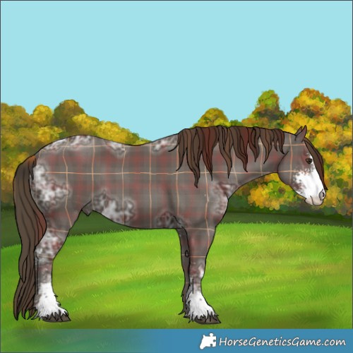 Horse Color:Plaid  Liver Chestnut Ice Sabino Rabicano 