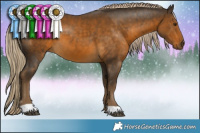 Horse Color:Chocolate Palomino 