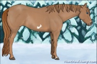Horse Color:Red Roan Frame Rabicano 