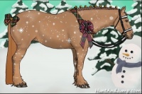 Horse Color:Chestnut Rabicano 