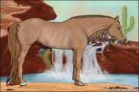 Horse Color:Chestnut Rabicano