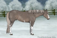 Horse Color:White Spotted Silver Black Tobiano 