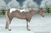 Horse Color:Silver Black Sabino Tobiano 