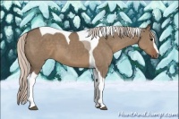 Horse Color:Silver Grullo Sabino Tobiano