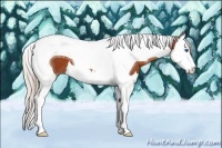 Horse Color:Silver Bay Splash Tobiano 