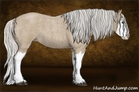 Horse Color:Silver Buckskin Roan Splash 