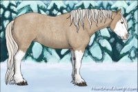Horse Color:Silver Buckskin Roan Splash 
