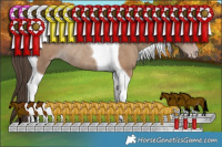 Horse Color:Classic Champagne Tobiano Rabicano