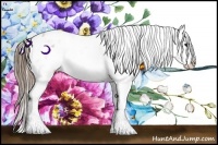 Horse Color:Black Pearl Sabino Appaloosa
