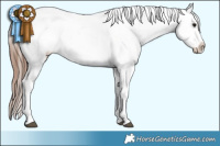 Horse Color:Brown Appaloosa Brindle