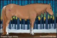 Horse Color:White Spotted Chestnut Sabino Frame 