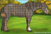 Horse Color:Plaid  Liver Chestnut Sabino 