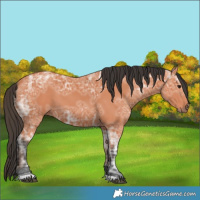 Horse Color:Bay Ice 