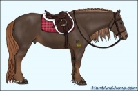 Horse Color:Liver Chestnut Sabino 