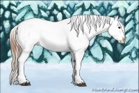 Horse Color:White Spotted Buckskin Ice Frame Appaloosa Rabicano 