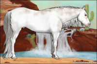 Horse Color:Sable Champagne Dun Sabino Frame Rabicano 