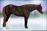 Horse Color:Chestnut Ice 