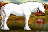 Horse Color:Plaid Buckskin Pearl Sabino Appaloosa