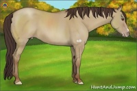 Horse Color:Classic Champagne Dun Frame 