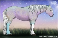 Horse Color:Watercolor Silver Bay