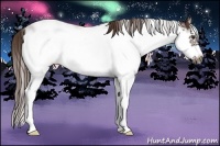 Horse Color:Liver Chestnut Sabino Frame 