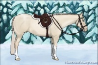 Horse Color:Chocolate Palomino Pearl Dun Tobiano