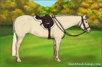 Horse Color:Palomino Roan Dun Frame