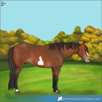 Horse Color:Brown Frame 