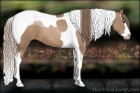 Horse Color:Black Pearl Splash Tobiano 
