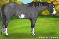 Horse Color:Smoky Blue Roan Splash Frame