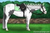 Horse Color:Smoky Blue Roan Splash Tobiano 