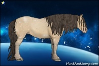 Horse Color:Amber Cream Champagne