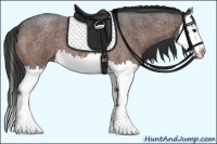 Horse Color:Bay Roan Splash 