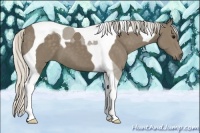 Horse Color:Silver Smoky Black Tobiano 