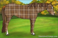 Horse Color:Plaid Chestnut Sabino