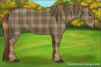 Horse Color:Plaid  Chestnut Sabino 